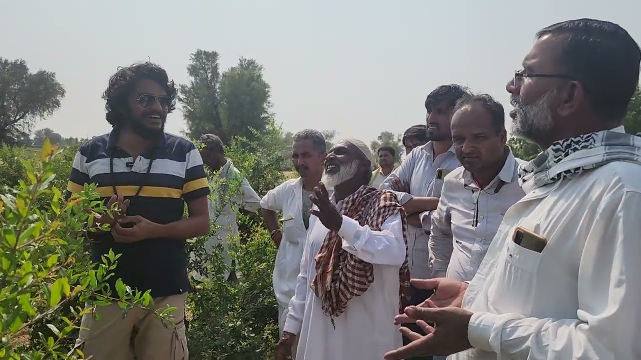 4850- Pomegranate Farming, अनार की खेती 8989238222 किसान पाठशाला Dr BALRAM KISAN