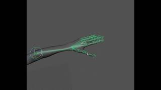 Monster Rigging with Joints