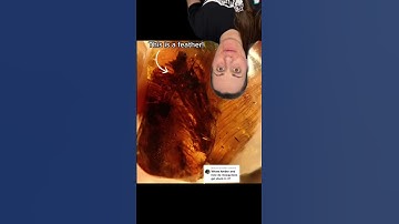 Fast Fossil Facts for Fossil Friday! - pt 8 #paleontology #fossil #learn #shorts