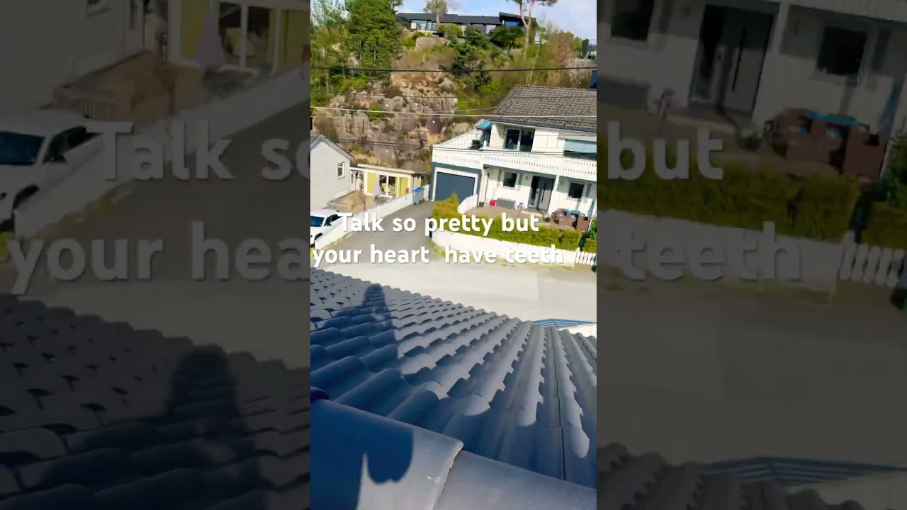 I am chillin on the roof 