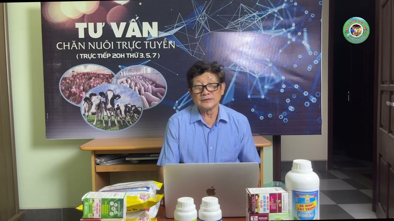 LÀM THẾ NÀO ĐỂ PHÁT HIỆN SỚM DỊCH TẢ LỢN CHÂU PHI