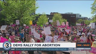 "Bans Off Our Bodies": Madison protesters join nationwide pro-choice effort