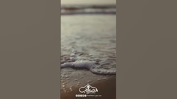 ثبتنا يارب #تلاوات_قصيرة #تلاوة_هادئة #تلاوة_مميزة #تلاوات_جميلة #تلاوات #سورة_فصلت