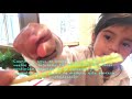 🇨🇴🇨🇦STEM sin Fronteras "Cristales de Azúcar" 🌎💎