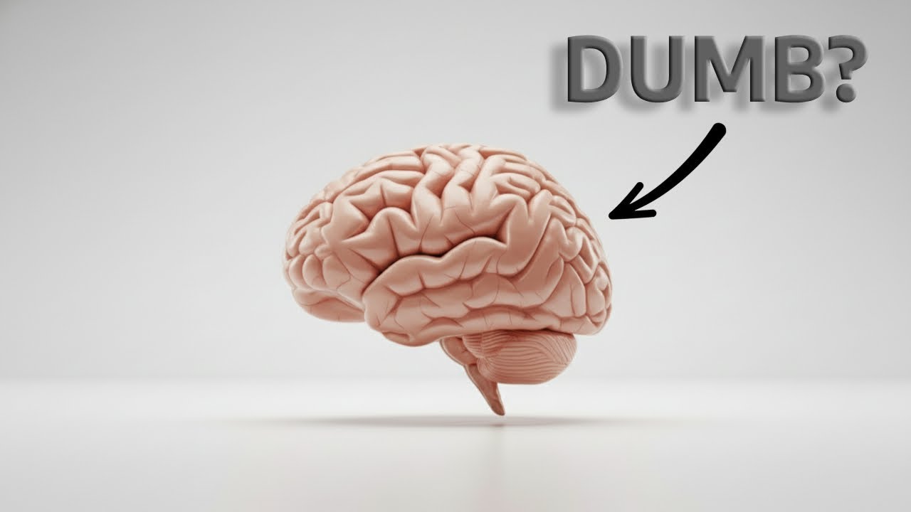 Почему человеческий мозг жаждет любопытства?