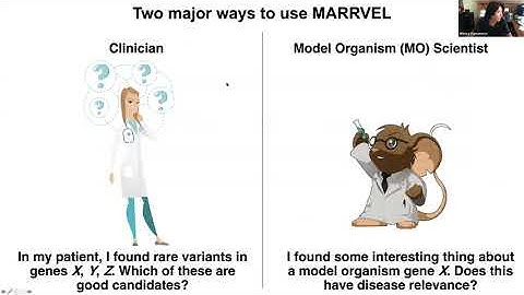 MARRVEL: Mining Genetic and Genomic Data across Model Organisms and Humans