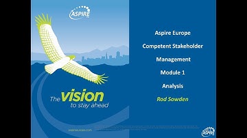 Professional Stakeholder and Change Management - Stakeholder Analysis