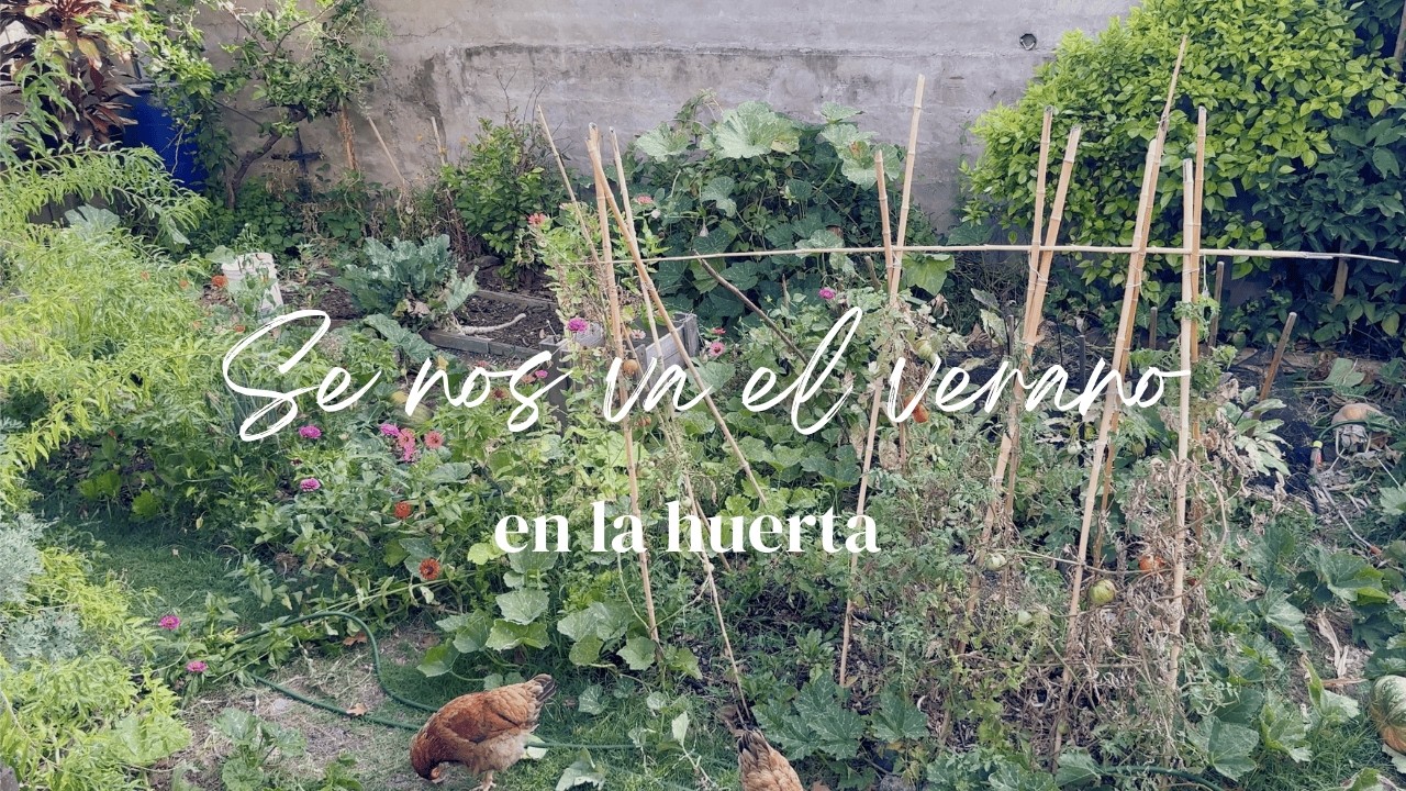 Se nos va el VERANO | La HUERTA en Febrero