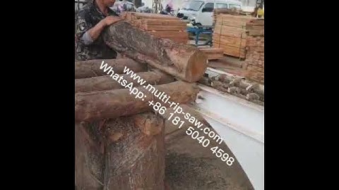 Round Log Multi Rip Saw Machine for Making Wooden Pallets, Multi Blade Saw and Multiple Rip Saw