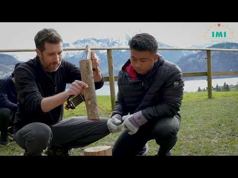 The Student Experience at a Swiss Hospitality School - IMI Switzerland's BIG Forest Adventure