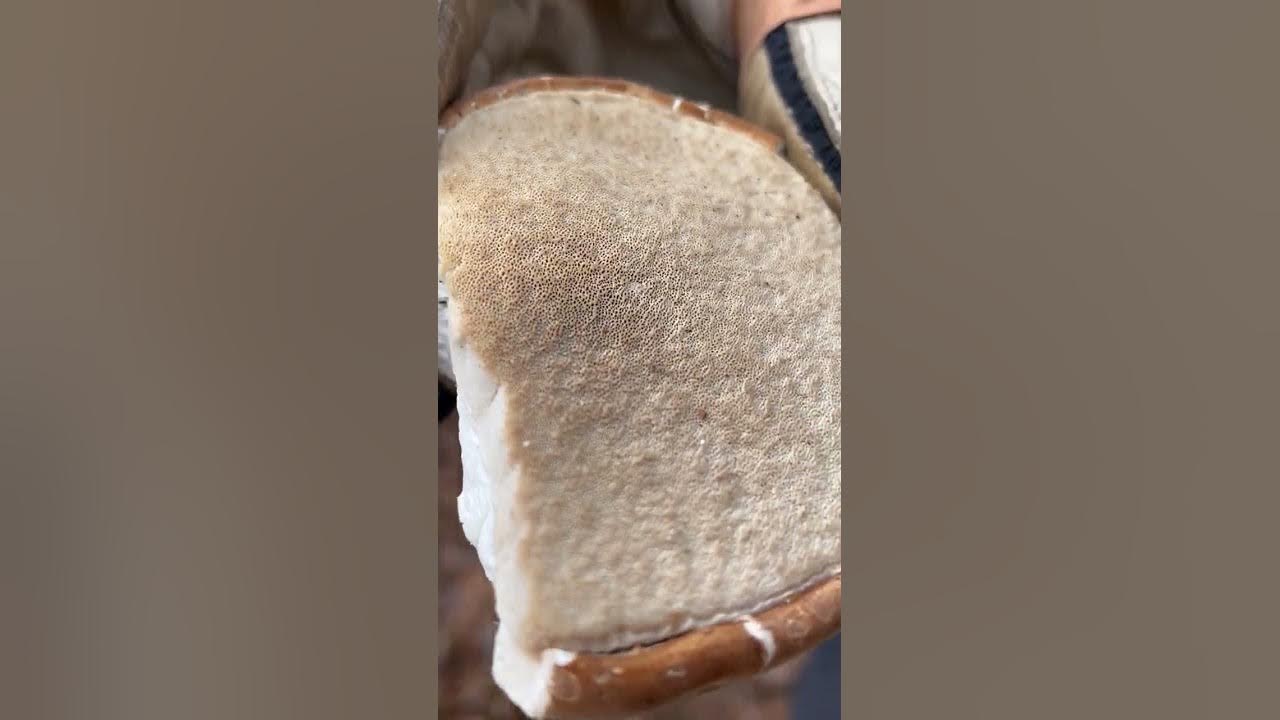 Razor Strop... Fungus? YouTube