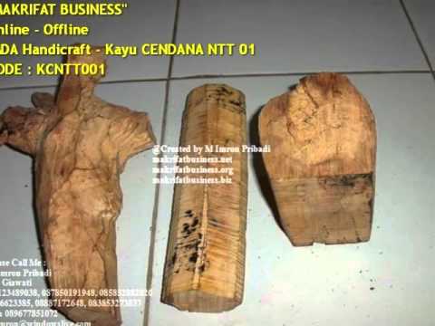  Kayu  CENDANA  NTT 01 YouTube