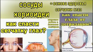 Глаза деградируют, зрение ухудшается, когда зажимаются сосуды хориоидеи. Температурный массаж глаз
