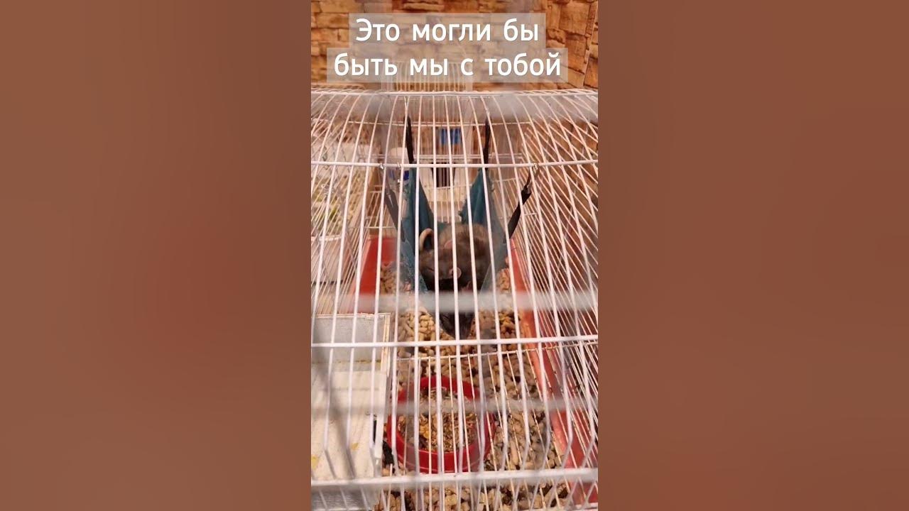 Это могли бы быть мы с тобой - YouTube