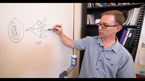 John Kitchin: Using Machine Learning to Improve Molecular Simulations