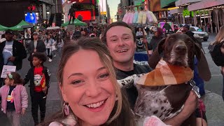 Roadtrip Across America with our German Shorthaired Pointer: Part 3 (New York City)