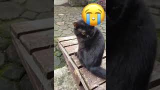 Cimeng Sad Story