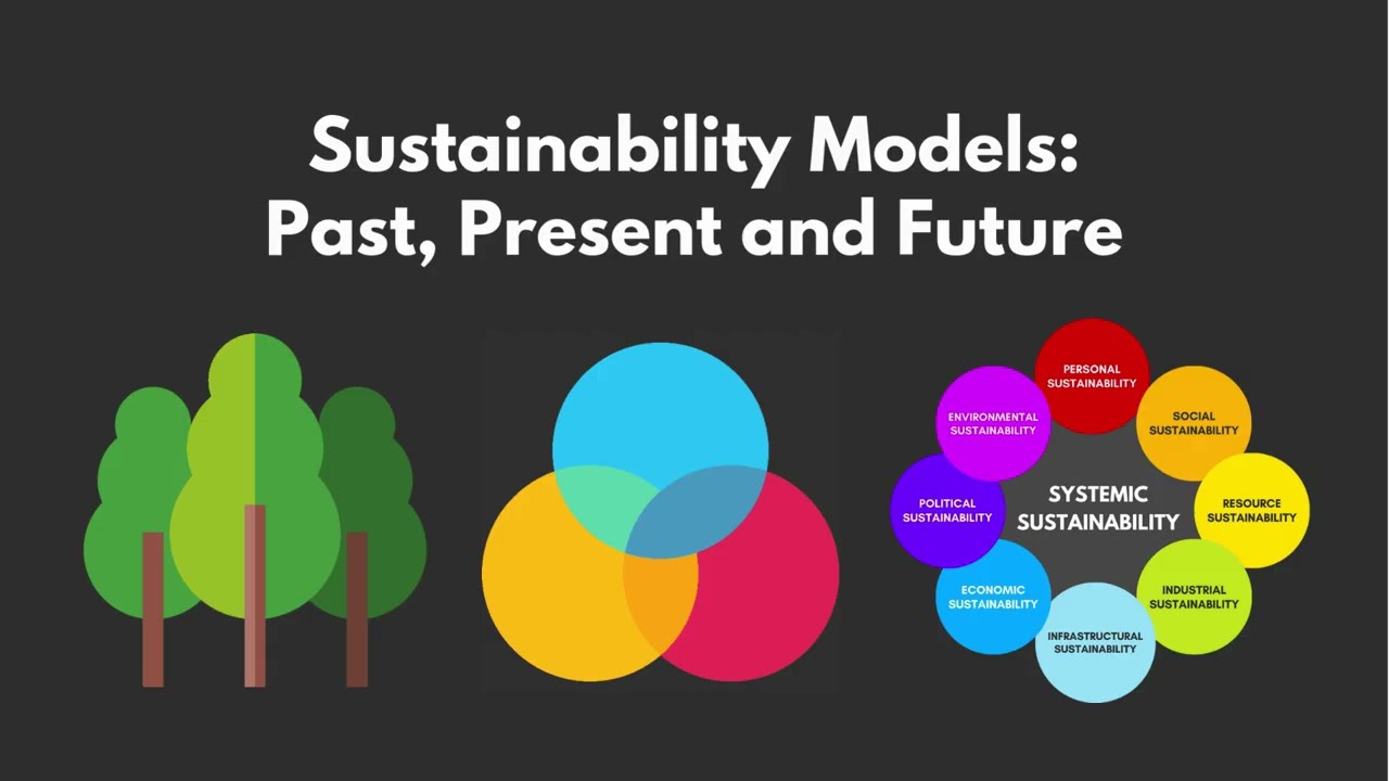 Sustainability Models: Past, Present and Future (Discussion)
