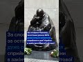 "Німці переосмислили роль України в Другій світовій" - посол України