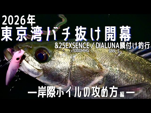 1月/バチ抜け】バチ抜けシーバス調査&25エクスセンス・ディアルーナ