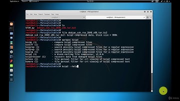 Video 39: Hacking with Kali Linux | SSH hacking | Kali Linux Tutorial For Beginners
