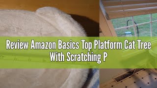 Review Amazon Basics Top Platform Cat Tree With Scratching Post  18 x 14 x 22 Inches, Beige