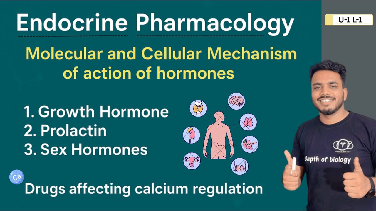Endocrine Pharmacology | Growth Hormone | Prolactin | Sex hormone |Drug affecting Calcium regulation