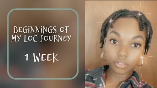 Starter Locs On Short 4c Hair | Documenting My Journey | Naomi Onlae Starter Locs On Short 4c Hair | Documenting My Journey | Naomi Onlae
