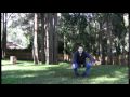 Basic Dog Training Skills - 07 Recall Basic Dog Training Skills - 07 Recall