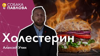 Холестерин - Алексей Утин //плохой холестерин, липопротеиды высокой плотности, атеросклероз