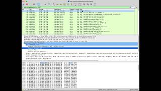Wireshark CTF Intro