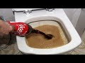 Toilet + Coke = ?  Can Coca Cola Clean the Water Stain of a Toilet?