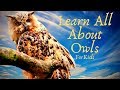 Owl Learning Quiz