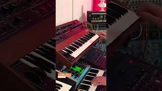 Iconic Synth Riffs Part 1 🎹🎹🎹 #synthesizer