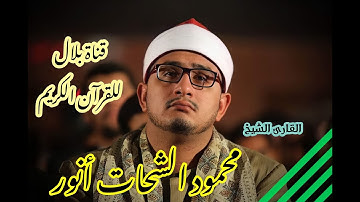 الشيخ محمود الشحات أنور وما تيسر من سورة الأنعام