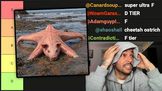 Animal Combinations Tier List