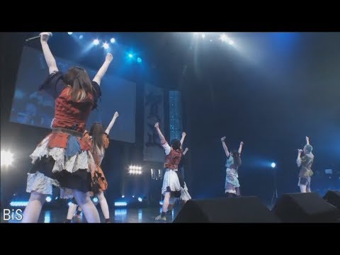 BiS - primal.