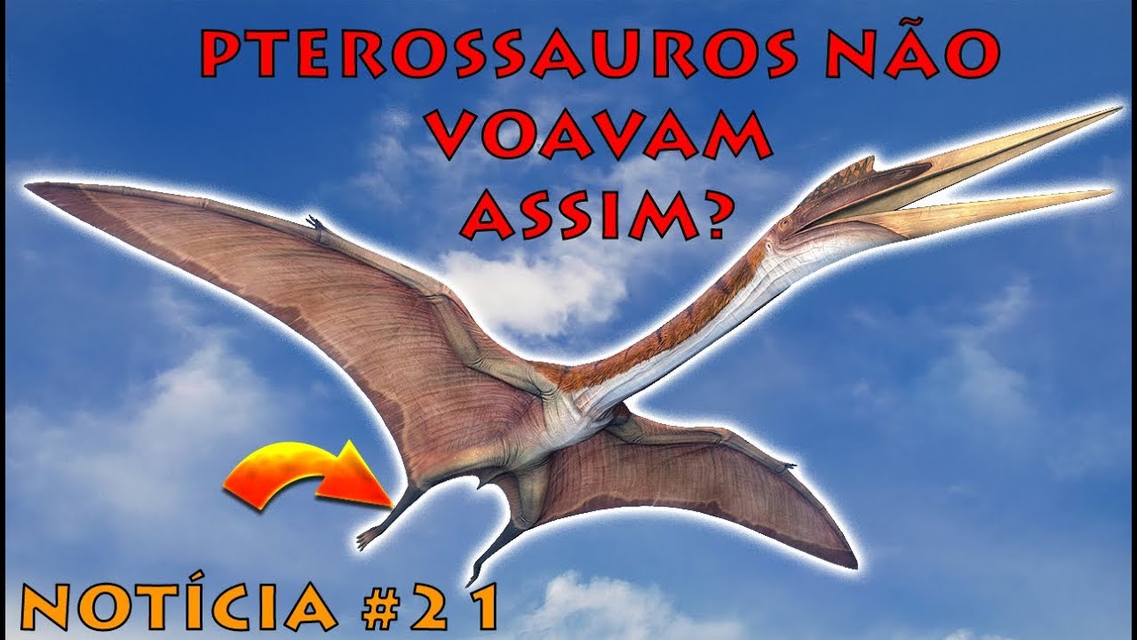 Ikessauro: Pteranodon