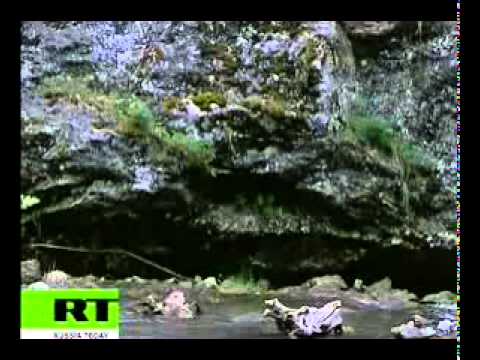 Video: I Bashkiria Viste Helleristninger I Shulgan-Tash-hulen Seg å Være Eldre Enn De Trodde - Alternativt Syn