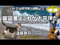 寝図美よこれが太平洋だ / Nezumi, That's the Pacific Ocean!! - 遠藤賢司 cover/耳コピ再現してみた