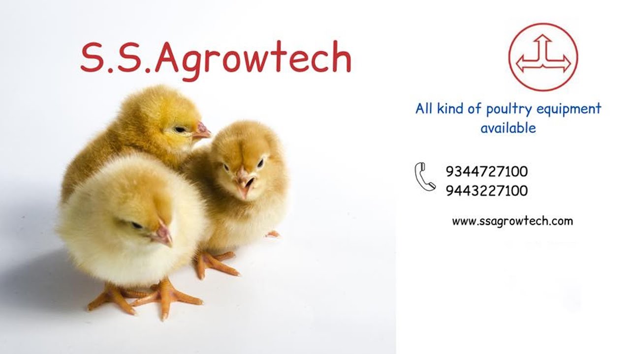 S.S. Agrow Tech | India Poultry Expo 2022 | Poultry Equipment | Telugu Now