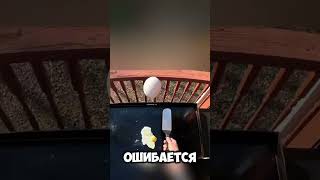 Невероятные трюки