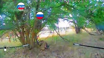 Russian soldier climbs a tree trying to avoid a drone strike, but fails.