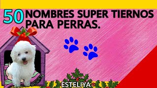 NOMBRES SUPER TIERNOS PARA PERRAS.