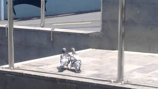 WP 20140107 002