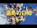 湯島の白梅