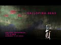 Capture de la vidéo The Polyphonic Spree - Galloping Seas (Visualizer)