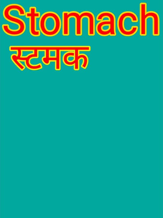 stomach-meaning-in-hindi-with-photo