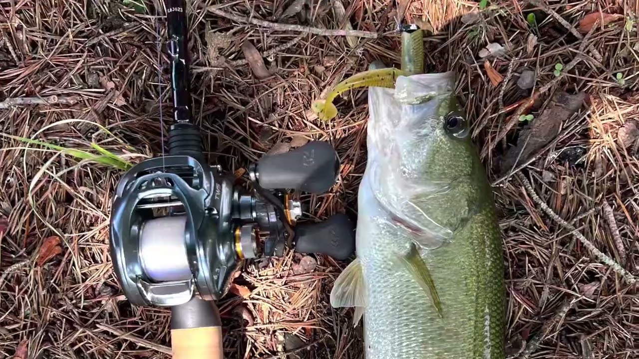 best lure fishing rods uk Choosing the best lure rod for bass fishing