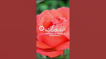 🌿سورة الفاتحة🌿القارئ شريف مصطفى